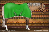 Horse Color:Silver Bay Dun