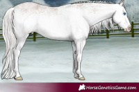 Horse Color:White Spotted Silver Blue Roan Splash