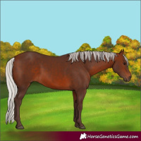 Horse Color:Silver Brown