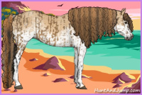 Horse Color:Gray White Spotted Brown Dun  and White Spotted Red Dun 