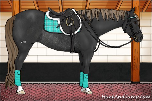 Horse Color:Liver Chestnut Rabicano 