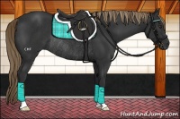 Horse Color:Liver Chestnut Rabicano 