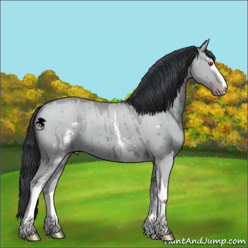 Horse Color:White Spotted Classic Champagne Chinchilla Dun 