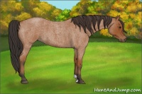 Horse Color:Bay Roan