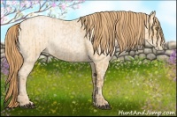 Horse Color:Bay Roan Pearl  and Buckskin Roan Pearl 