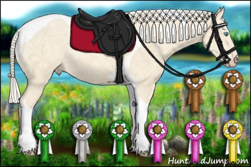 Horse Color:Cremello Ice Tobiano 