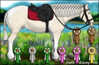 Horse Color:Cremello Ice Tobiano 