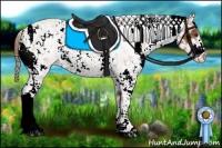 Horse Color:Chestnut Sabino