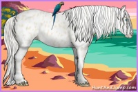 Horse Color:Cremello Leopard