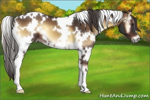 Horse Color:White Spotted Liver Red Onyx 