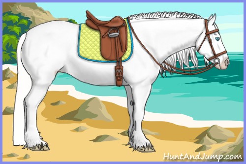Horse Color:Cremello Tobiano Leopard