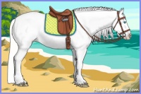 Horse Color:Cremello Tobiano Leopard