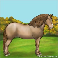 Horse Color:Liver Chestnut Pearl 