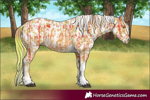 Horse Color:Plaid  Palomino Tobiano  and Plaid  Chestnut Leopard 