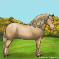 Horse Color:Chestnut Pearl 