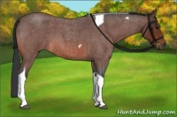 Horse Color:Bay Roan Tobiano