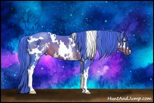 Horse Color:Watercolor White Spotted Liver Chestnut 