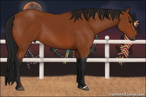 Horse Color:Gray Bay 