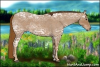 Horse Color:Red Ice Roan