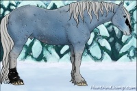 Horse Color:ERROR: UNKNOWN ANOMALY