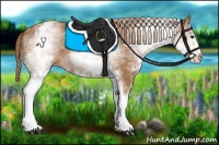Horse Color:White Spotted Chestnut 