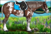 Horse Color:White Spotted Silver Bay 