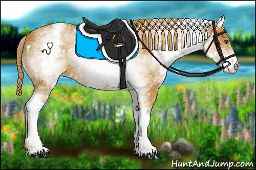 Horse Color:White Spotted Chestnut