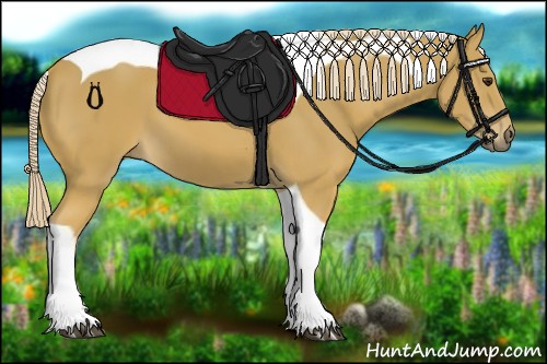 Horse Color:Palomino Tobiano 