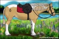 Horse Color:Palomino Tobiano 