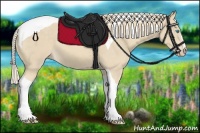 Horse Color:Cremello Sabino Tobiano 