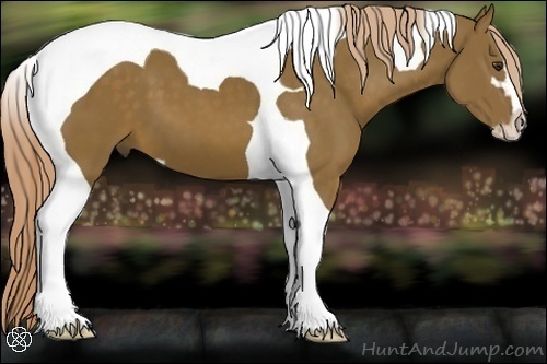 Horse Color:Chocolate Palomino Sabino Tobiano 