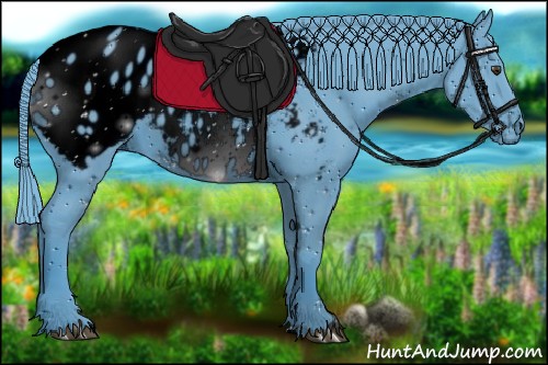 Horse Color:ERROR: UNKNOWN ANOMALY