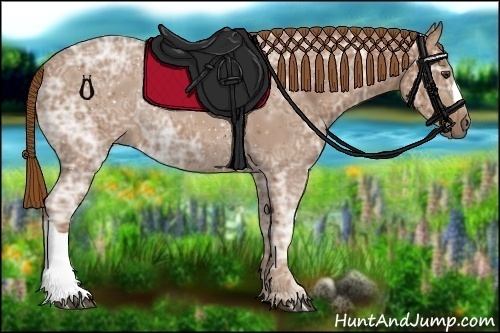 Horse Color:Chestnut Ice 