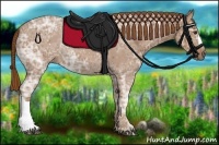 Horse Color:Chestnut Ice 