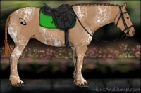 Horse Color:Chestnut Ice 