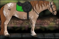 Horse Color:Chestnut Ice 