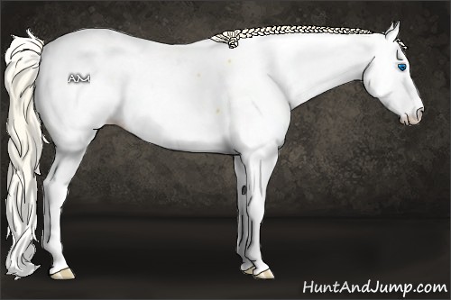 Horse Color:Palomino Splash Near Fewspot
