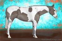 Horse Color:Silver Black Splash Tobiano 
