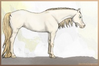 Horse Color:Buckskin Roan Pearl Dun  and Buckskin Roan Pearl Dun 