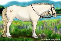 Horse Color:Buckskin Roan Pearl and Buckskin Roan Pearl
