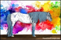 Horse Color:Watercolor Buckskin Dun Appaloosa 