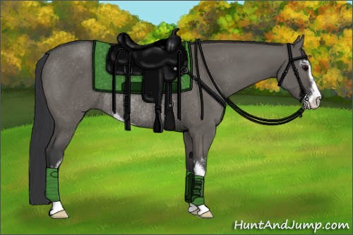 Horse Color:Grullo Sabino Rabicano 