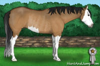 Horse Color:Gray Brown Dun Sabino Splash Rabicano