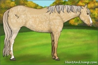 Horse Color:Palomino Ice Dun 