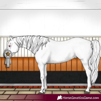 Horse Color:White Spotted Liver Chestnut Chinchilla 