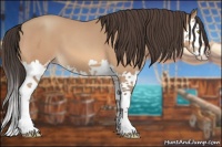Horse Color:Amber Champagne Splash 