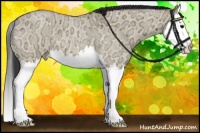 Horse Color:Bay Ice Roan Dun Splash 