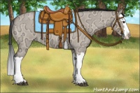 Horse Color:Bay Ice Roan Dun Splash 