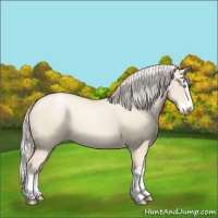 Horse Color:Palomino Pearl Dun Splash Appaloosa 