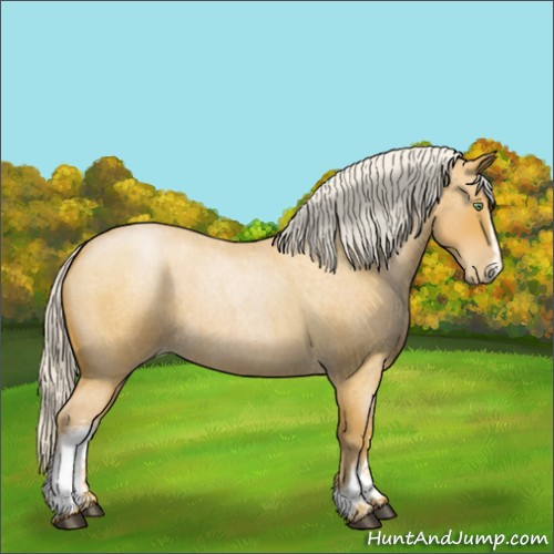 Horse Color:White Spotted Silver Bay Roan Pearl 